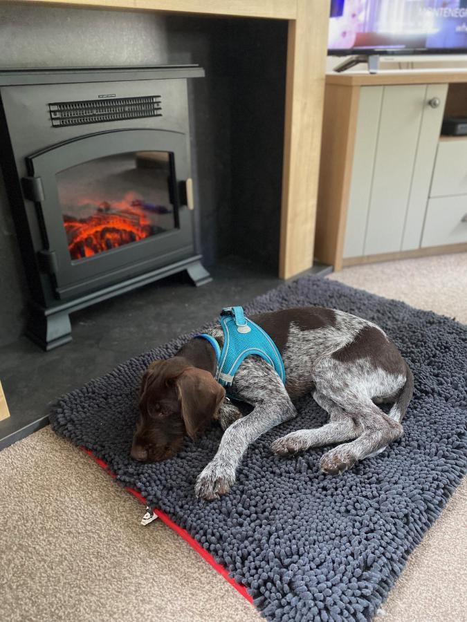 Caorann Lodge, 205 Tummel Valley 皮特洛赫里 外观 照片